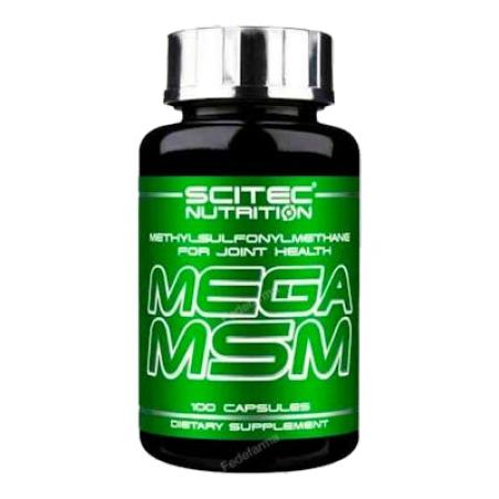 MEGA MSM 100 CAPS