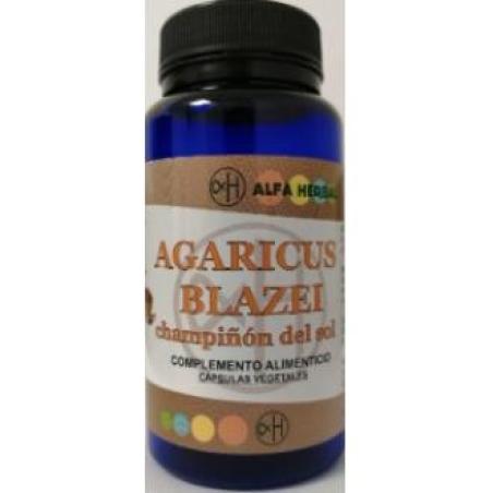 AGARICUS BLAZEI champiñon del sol 70 cap