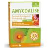 AMYGDALISE sabor menta 20comp mastic.
