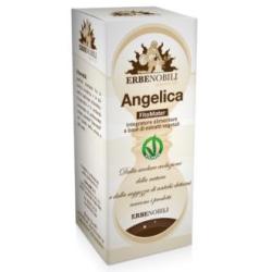 ANGELICA extracto Fitomater 50ml