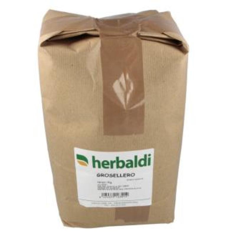 HIERBA GROSELLERO NEGRO 1kg.