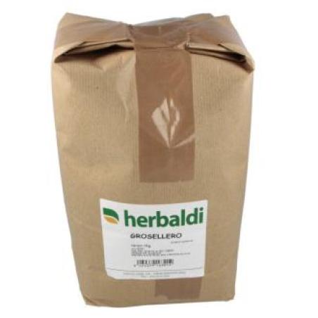 HIERBA GROSELLERO NEGRO 1kg.