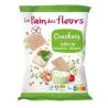 CRACKER TRIGO SARRACENO MINI 75gr. BIO SG VEGAN
