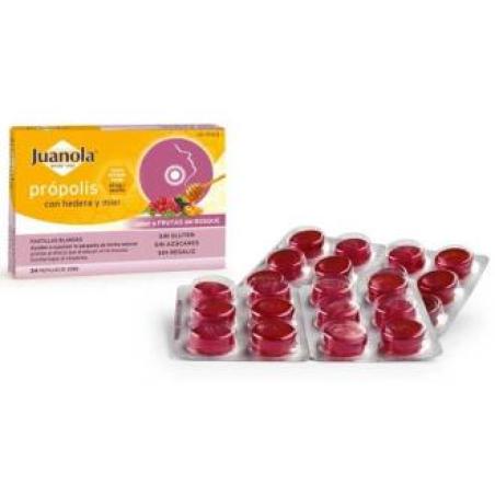 JUANOLA PAST PROPOLIS hedera-miel-frut bosque 24ud