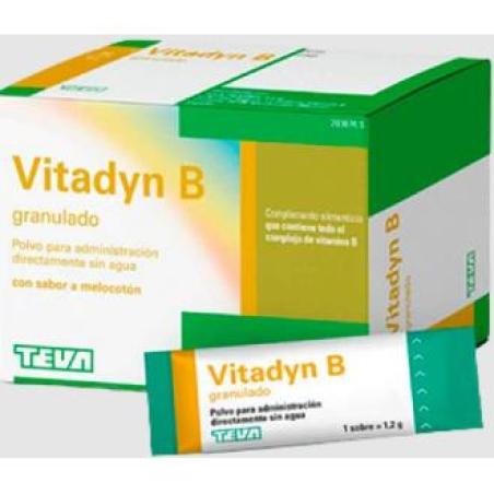 VITADYN B POLVO ORAL granulado 40 sobres