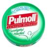PULMOLL CAJITA BALSAMICA sin azúcar 45gr
