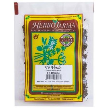 MACOESA TE VERDE HERBOFARMA 40gr