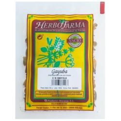 MACOESA GAYUBA HERBOFARMA 30gr