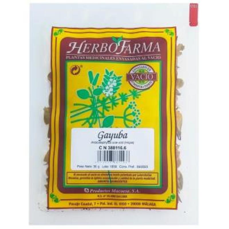 MACOESA GAYUBA HERBOFARMA 30gr