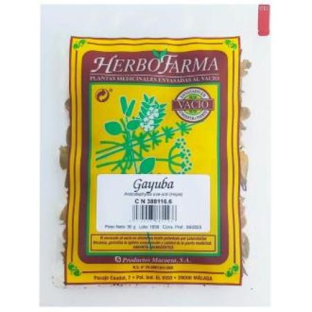 MACOESA GAYUBA HERBOFARMA 30gr