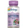 HAWTHORN extract 100mg 60vcap.