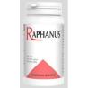 RAPHANUS 300cap.
