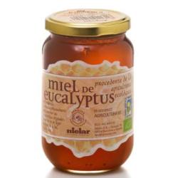 MIEL DE EUCALIPTUS 500gr BIO