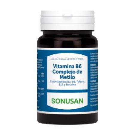 VITAMINA B6 complejo metilo 60cap.