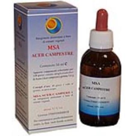 MSA ACER CAMPESTRE yemas 50ml.