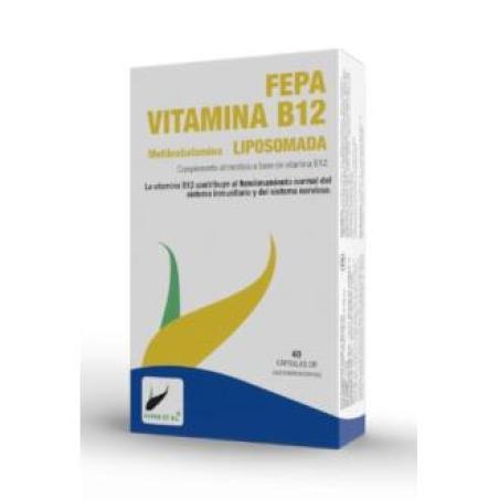 FEPA-VITAMINA B12 liposomada 40cap.