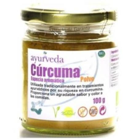 CURCUMA EN POLVO 100G BIO