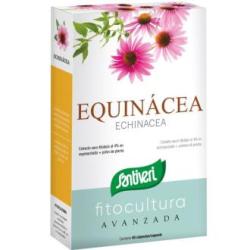 ECHINACEA 40cap.