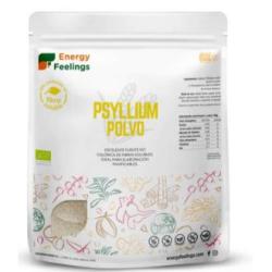 PSYLLIUM polvo 500gr. ECO VEGAN SG