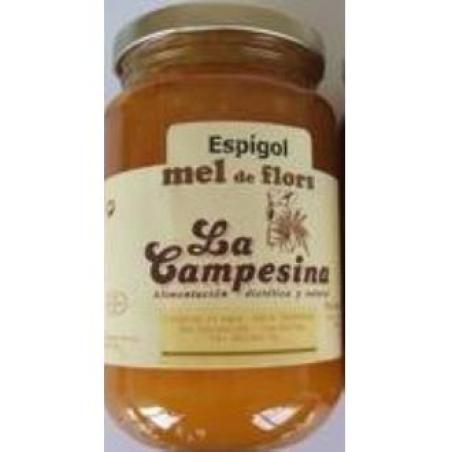 MIEL DE ESPLIEGO 500gr.