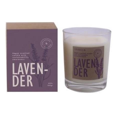 VELA VASO BOTVASL lavanda 7,5x9cm 1ud