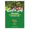 CHICLE ORGANICO sabor menta 30gr. BIO