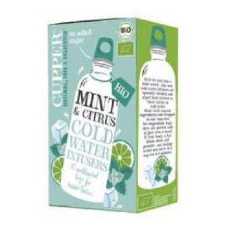 MENTA Y CITRICOS infusion fria 10bolsitas. BIO