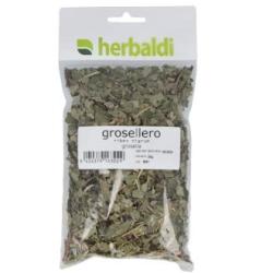 HIERBA GROSELLERO NEGRO 50gr.