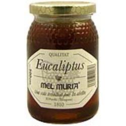 MIEL DE EUCALIPTO 500gr.