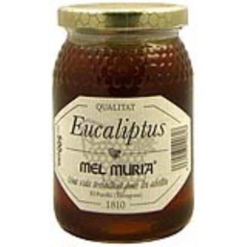 MIEL DE EUCALIPTO 500gr.