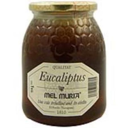 MIEL DE EUCALIPTO 1kg.