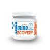 AMINO RECOVERY neutro 260gr.