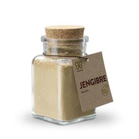 JENGIBRE molido 60gr. ECO