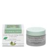 CREMA FACIAL ginkgo biloba 50ml.